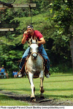 Rings - photo copyright Pat and Chuck Blackley